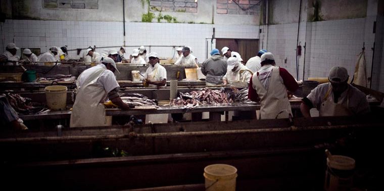 Precariedad laboral en la industria pesquera: una realidad permanente